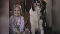 Anche i cani sorridono nelle foto: la prova in un video del '90