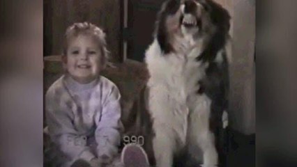 Anche i cani sorridono nelle foto: la prova in un video del '90
