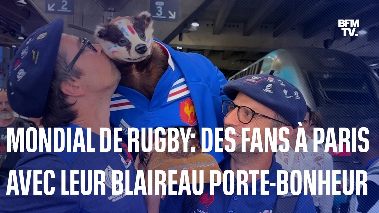 Mondial de rugby: des supporters arrivent à Paris avec leur "blaireau porte-bonheur"