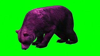 Green Screen Cocaine Bear movie video effects