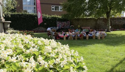 The magical knitted garden raising money for charity