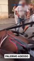 Palermo, un cavallo scivola a terra mentre traina la carrozza con i turisti: