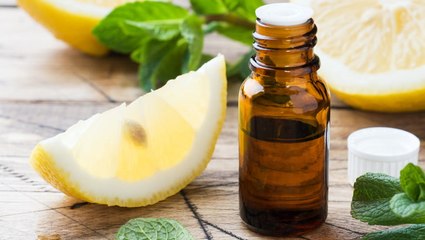 11 Ways To Make Your House Smell Good