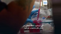 نقطه عطف در دنیای علم؛ دانشمندان «جنین کامل» ۱۴ روزه را بدون اسپرم، تخمک و رحم رشد دادند