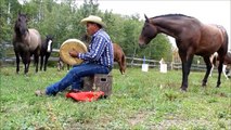 Songs of Gratitude: Celebrating Horses with The Honour Song, a Special Moment Not To Miss!