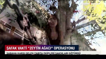 Komşular arasında kriz çıktı! Şafak vakti "zeytin" operasyonu