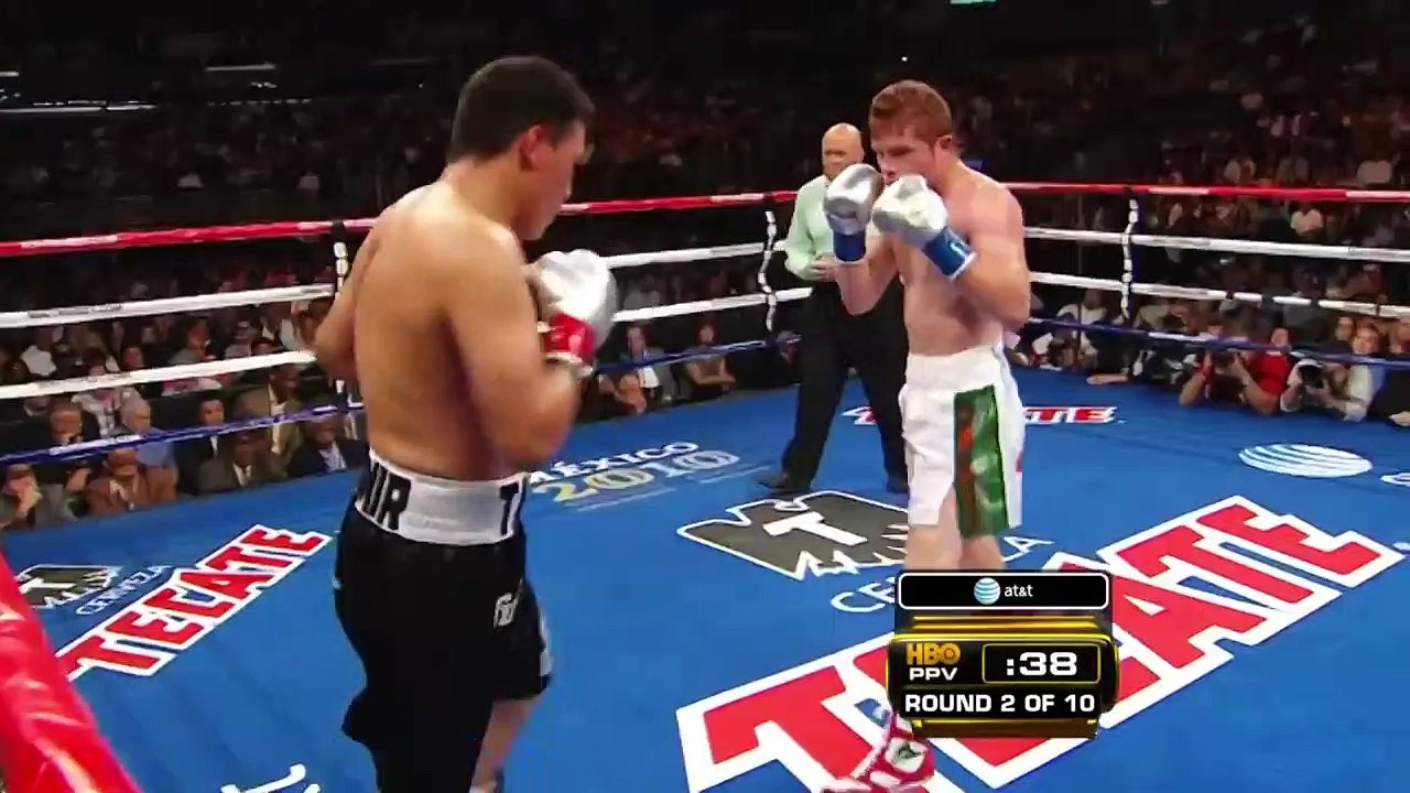 Canelo Álvarez (Highlights Knockouts)