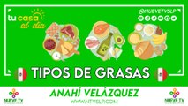 Tipos de grasas