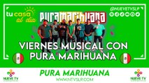 Viernes musical con Pura Marihuana