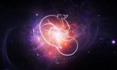 نجاح تطوير نموذج "جنين بشري" من دون حيوانات منوية أو بويضة