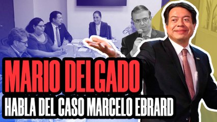 “YO NO PUEDO RESPONDER por la Secretaría del Bienestar”: MARIO DELGADO
