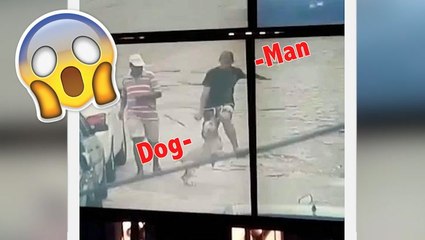 Camera Capture Dog Stopping A Thief