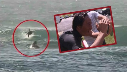Surfer Wipes Out On Dolphin