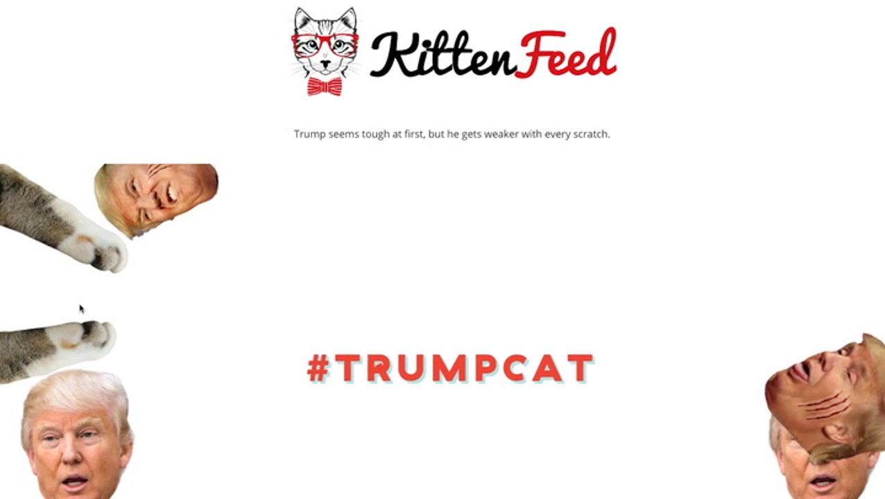 Trump Shuts Down 'Kittens Scratch Trump' Site