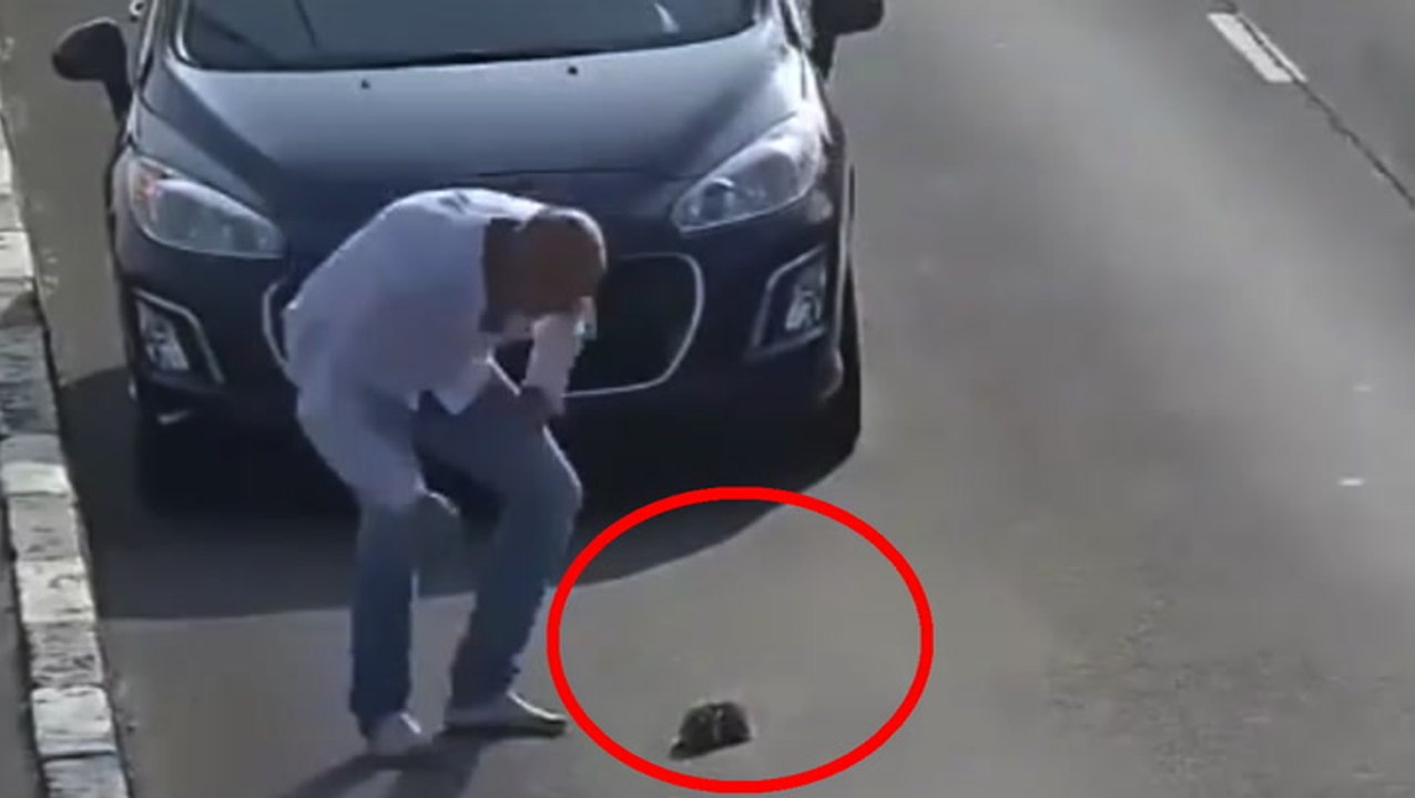 Man Saves Kitten From Highway Disaster
