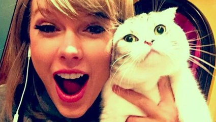 Taylor Swift's Cat Causes Fans to Freak