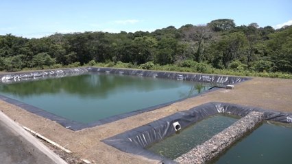 Reserva Volcán Cosigüina se prepara para el turismo en fiestas patrias