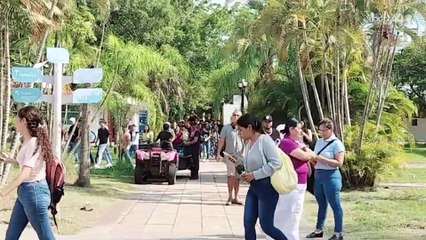 Se registra sismo frente a las costas de Jalisco; 40 minutos después vuelve a sacudirse la tierra