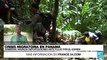 Informe desde Ciudad de Panamá: autoridades panameñas buscan controlar la crisis migratoria
