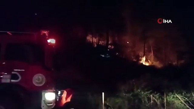 Aynı bölgede iki gün arayla orman yangını: Kundaklama şüphesi