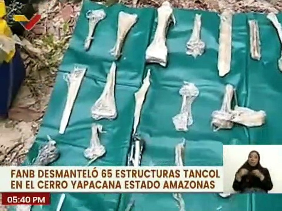 Amazonas | FANB desmantela dos campamentos terroristas en el cerro Yapacana