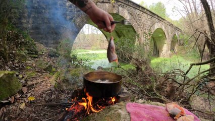 Pesca Variada en Arroyo | PESCA y COCINA | BAGRES FRITOS y Mucha Naturaleza