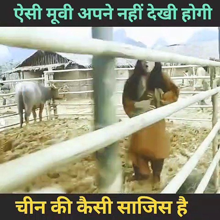 Best Hindi movie clip #hindimovie #cr7 #fifa