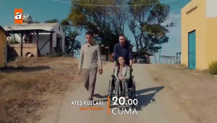 مسلسل طيور النار الموسم الثانى الحلقة 23 مترجم