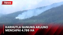 Kepala BNPB Tinjau Lewat Udara Karhutla Gunung Arjuno, Ini Katanya