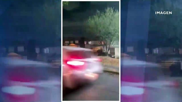 Captan a oso en calles de Nuevo León
