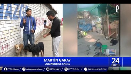 Independencia: denuncian abandono de perros de la municipalidad