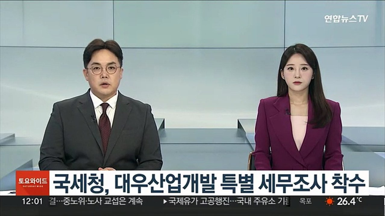 국세청, 대우산업개발 특별 세무조사 착수