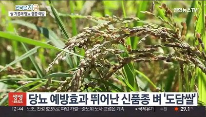 당뇨·염증 예방에 '효과'…쌀 가공기술 개발