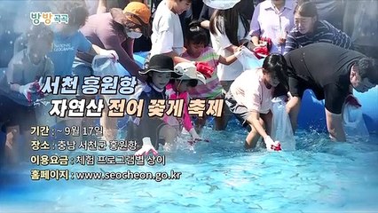 [영상구성] 방방곡곡
