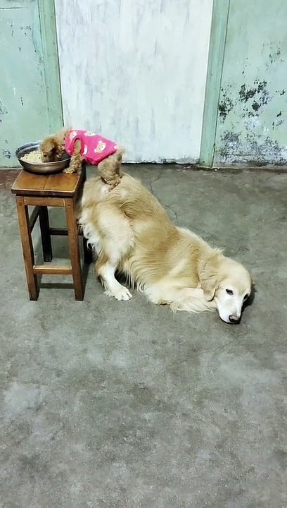 helping a friend in need