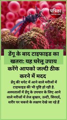 डेंगू के बाद टाइफाइड का खतरा: यह घरेलू उपाय करेंगे आपको जल्दी ठीक करने में मदद