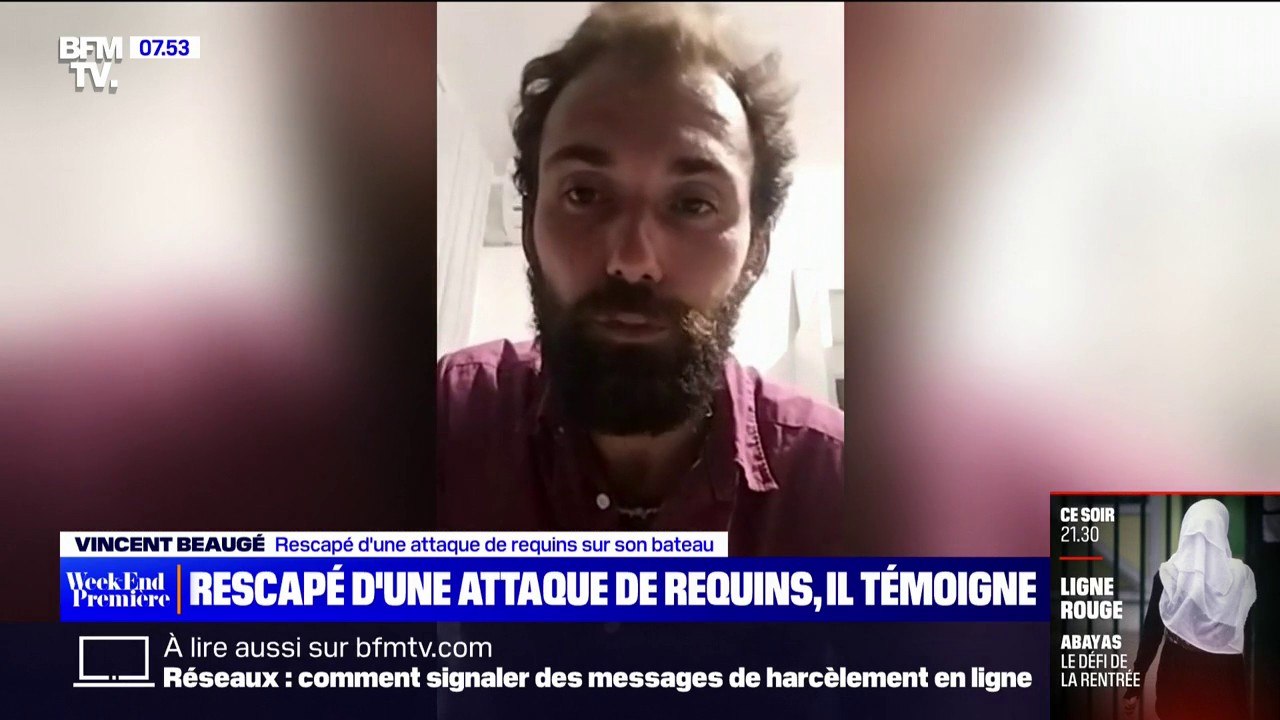 Le témoignage d'un navigateur français après avoir été attaqué par des requins au large de l'Australie