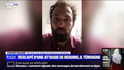 Le témoignage d'un navigateur français après avoir été attaqué par des requins au large de l'Australie