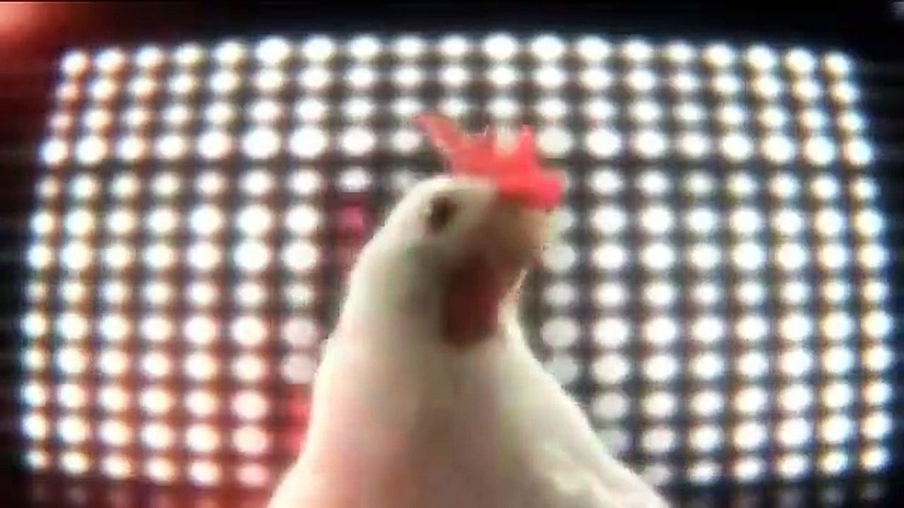 J.Geco_-_Chicken_Song(360p)