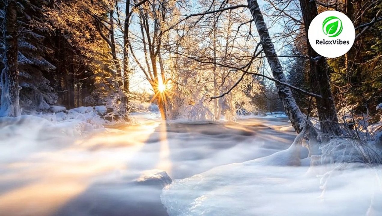 Morning Serenity Calming Sounds of Nature