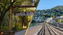 A Closer Look at Personalized Muir Woods and Sausalito Tours from San Francisco