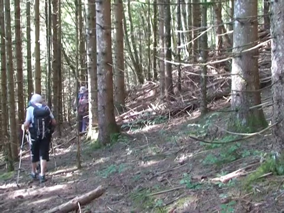 Autour du ruisseau de la Doët 1050m - La Réduire - Entremont-le Vieux 73670