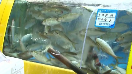 '수산물 소비 촉진' 수산대축제 개최...최대 25% 할인 / YTN