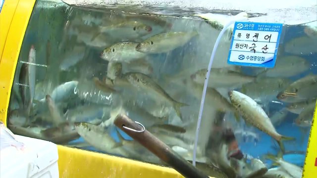 '수산물 소비 촉진' 수산대축제 개최...최대 25% 할인 / YTN
