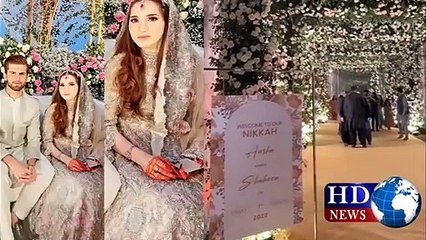 When Will Shaheen Shah Afridi get Married?