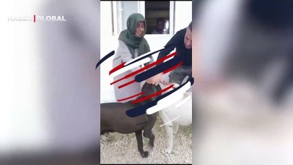 "Zehirli et verilsin!" diyerek tepki çekmişti... Yıldız Tilbe köpekleri sevdiği anları paylaştı