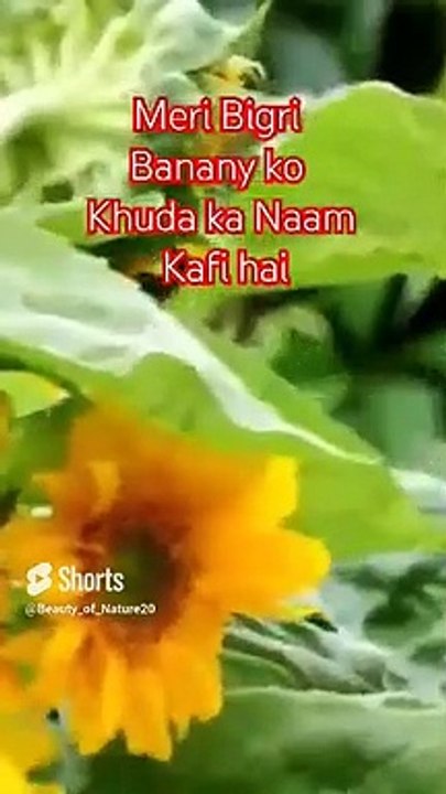 #Beautiful Hamd#Beautiful Nature#Beautiful World#Shorts#Shorts with lyrics#