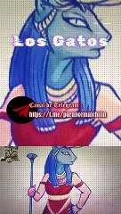 LOS GATOS Y SUS PODERES MAGICOS