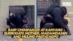 Baby chimpanzee at kanyang surrogate mother, madamdamin ang muling pagtatagpo | GMA News Feed