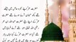 Hazrat Umar, Imam Hassan ka waqia _ Hazrat Umar Farooq (R.A) Ki Ahle-Bait Se Mohabbat _Islamic waqia